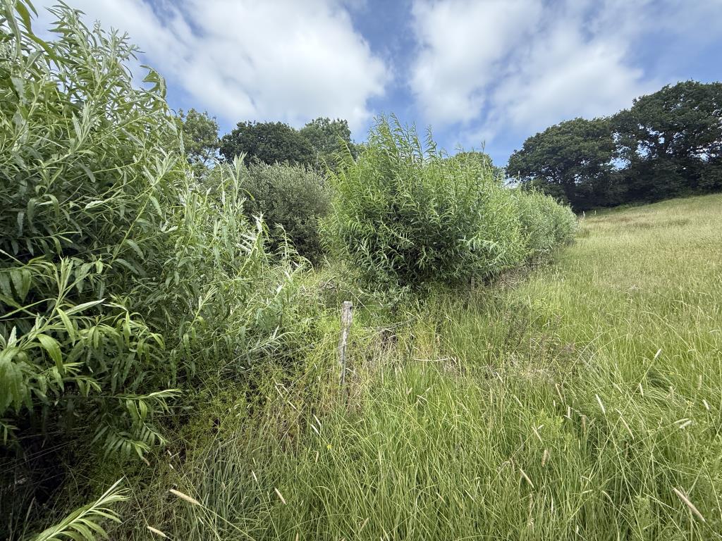 Lot: 69 - 3.24 ACRES OF LAND WITH PLANNING FOR AGRICULTURAL BUILDING - WORKS COMMENCED - General view of Land showing woodland